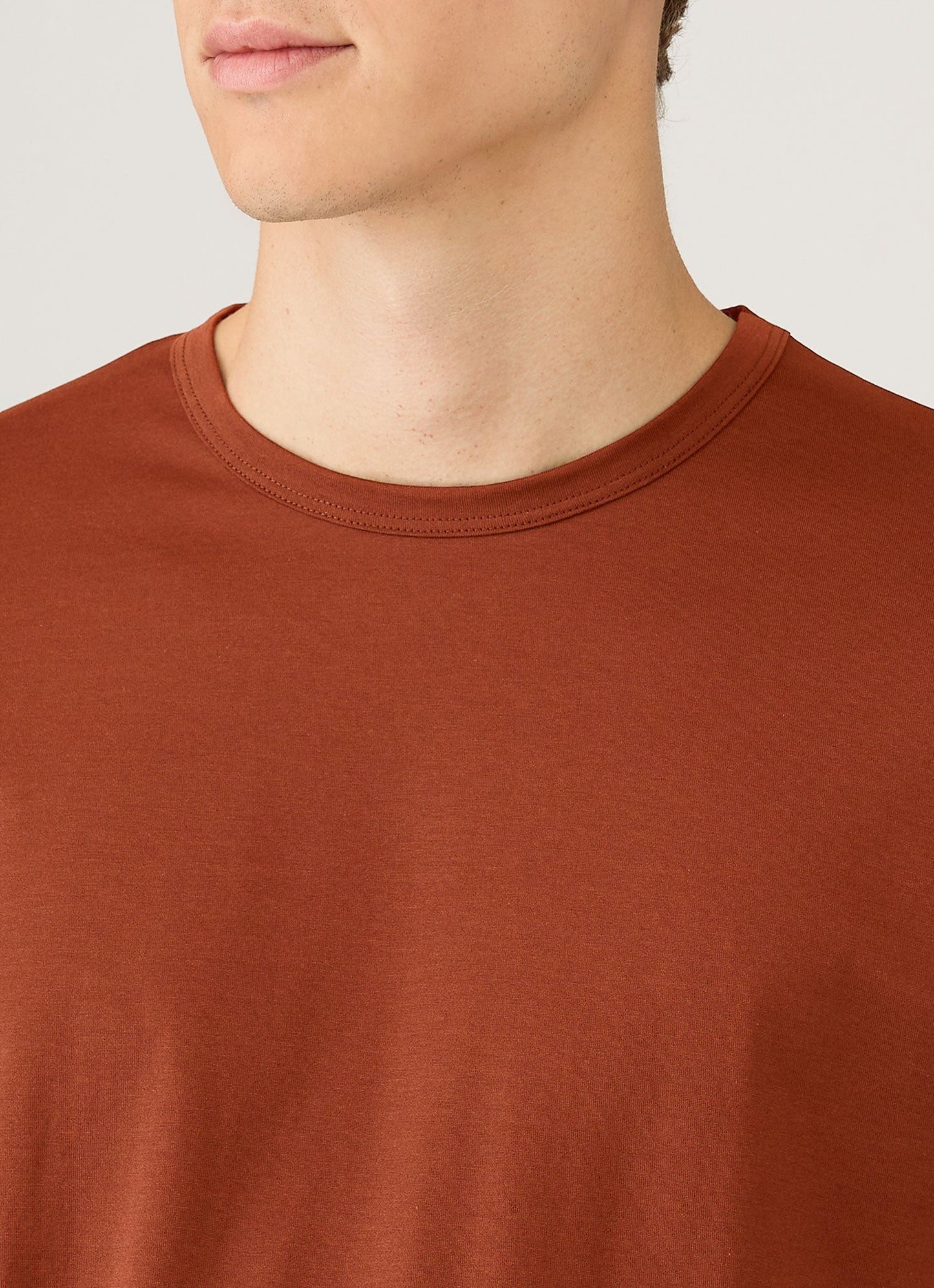 Mens Classic Tshirt In Rust Mtsh0001 Brgp