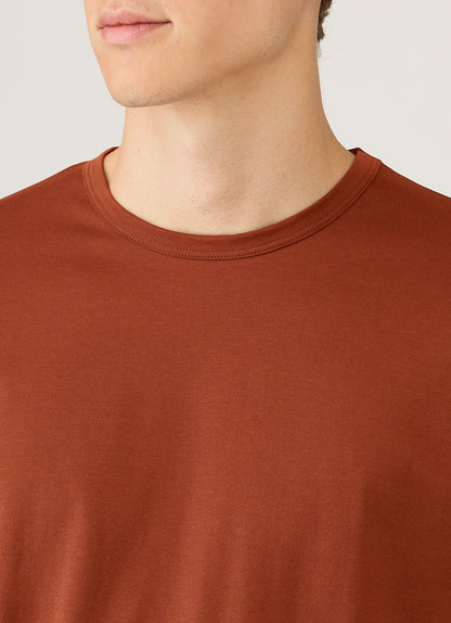 Mens Classic Tshirt In Rust Mtsh0001 Brgp