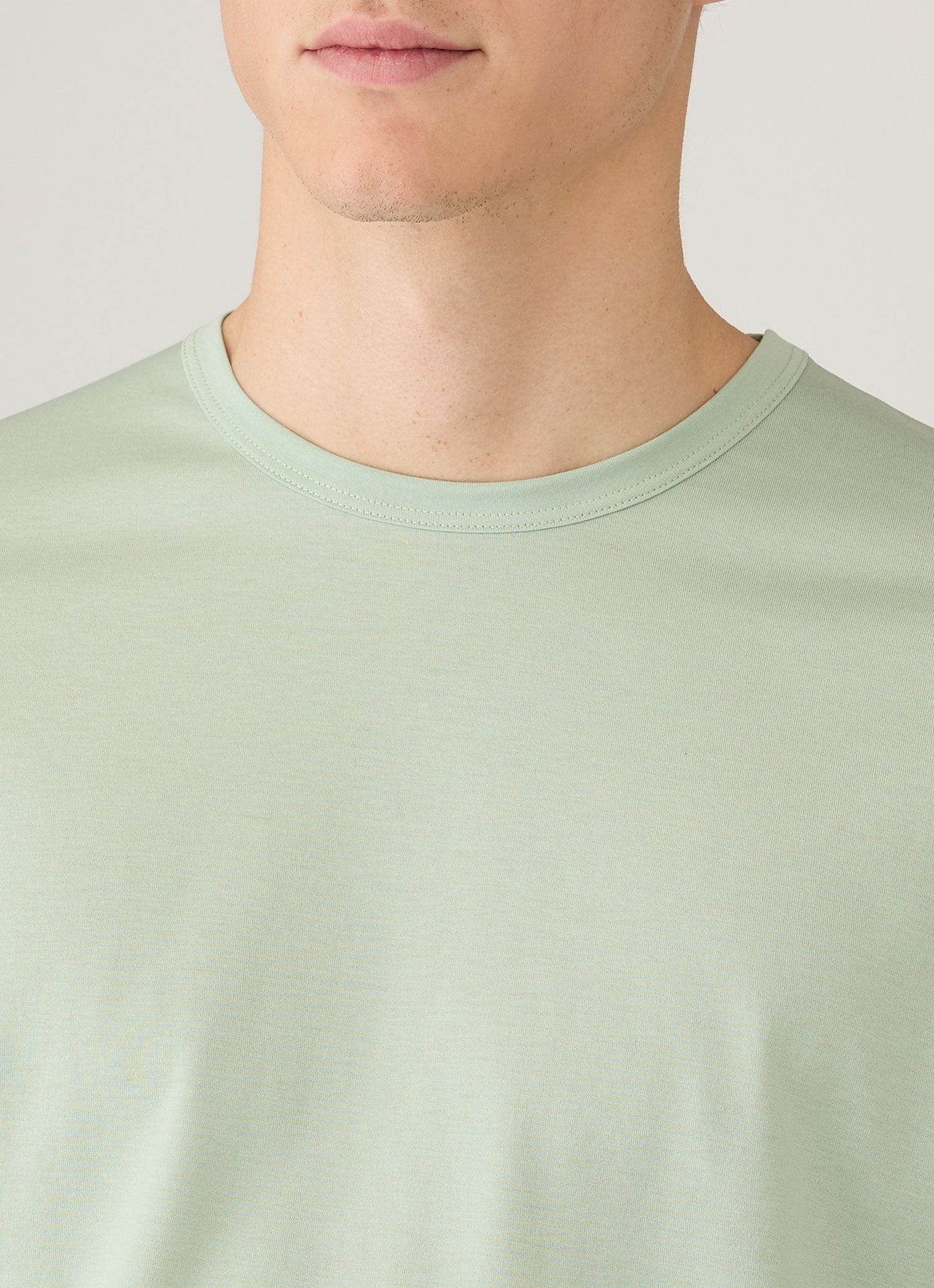 Mens Classic Tshirt In Laurel Mtsh0001 Gnjb